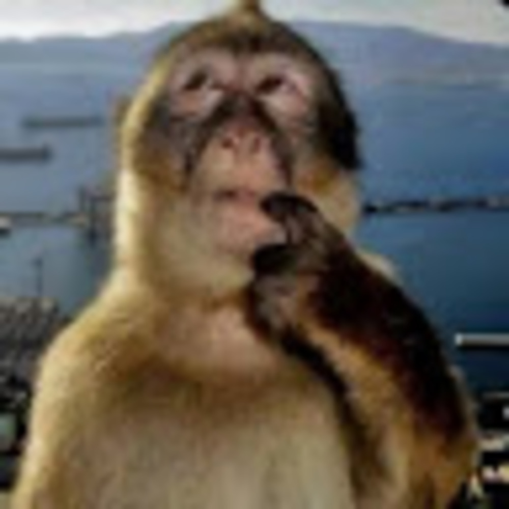 Meet your Posher, Amelia